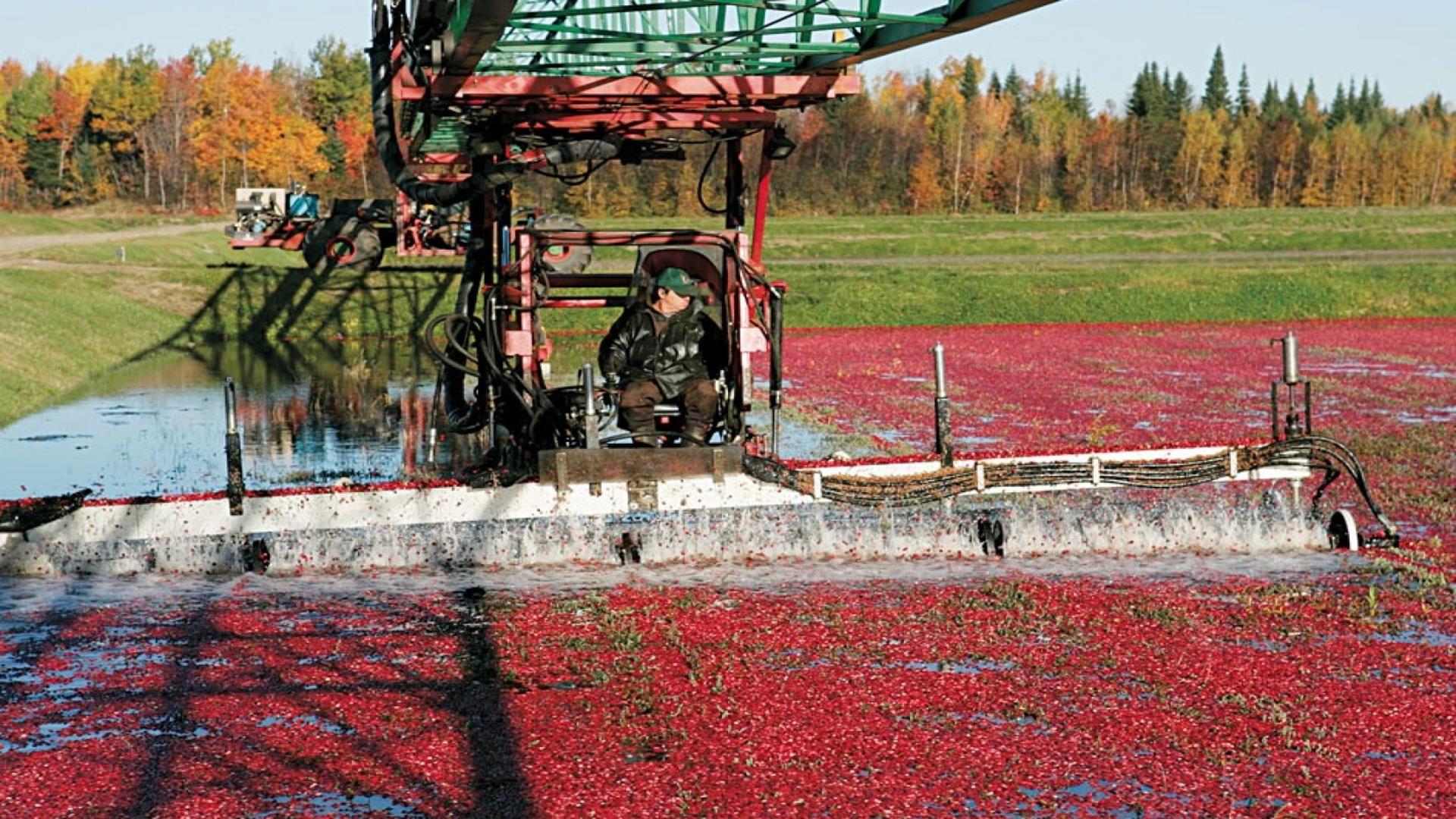 Photo en lien avec le texte