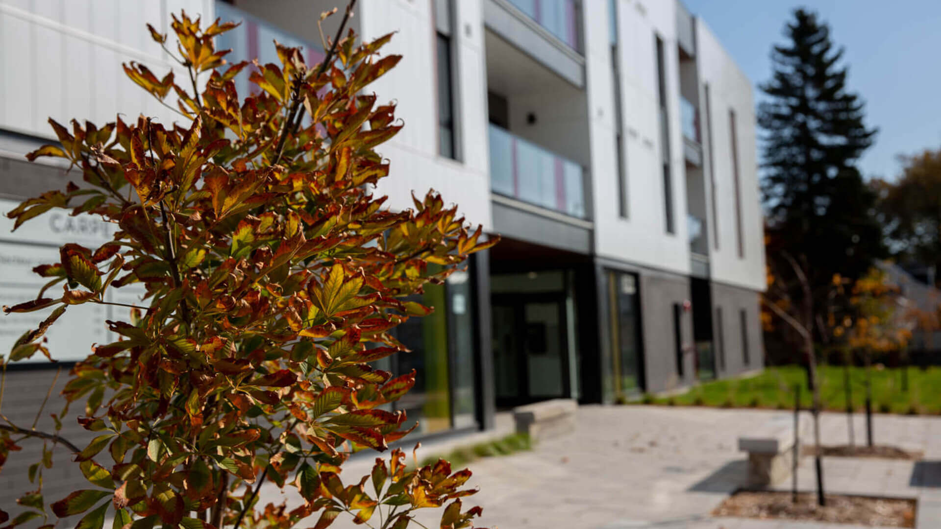 Photo bannière Béland lapointe