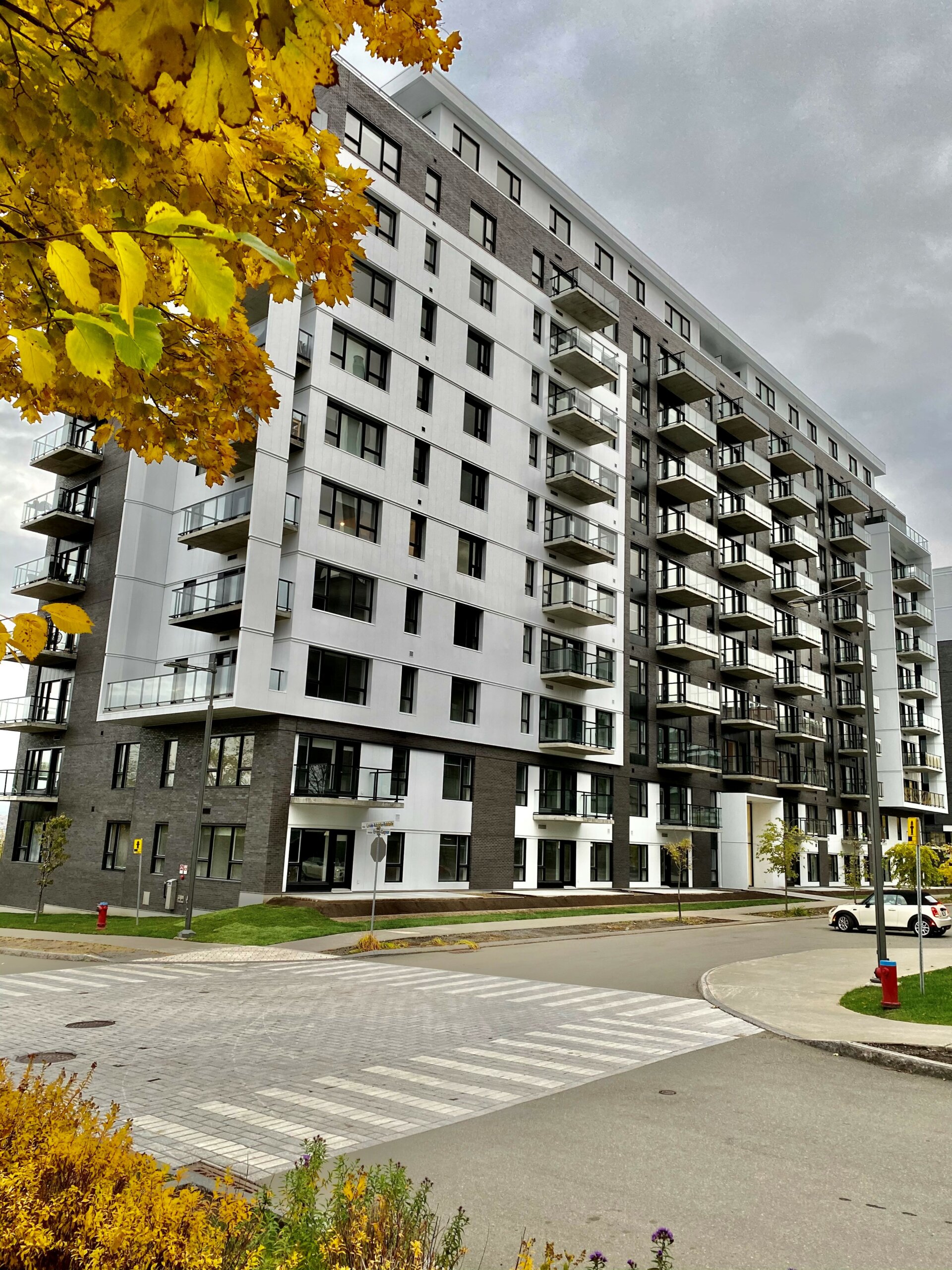 Photo bannière Béland lapointe