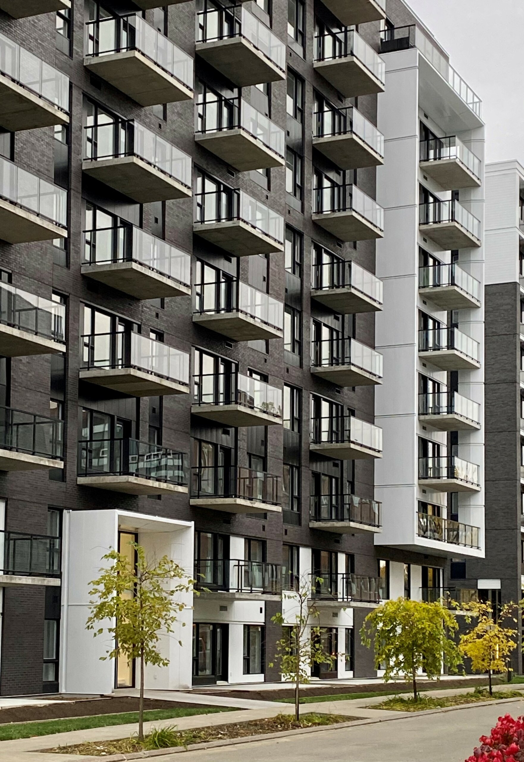 Photo en lien avec le texte