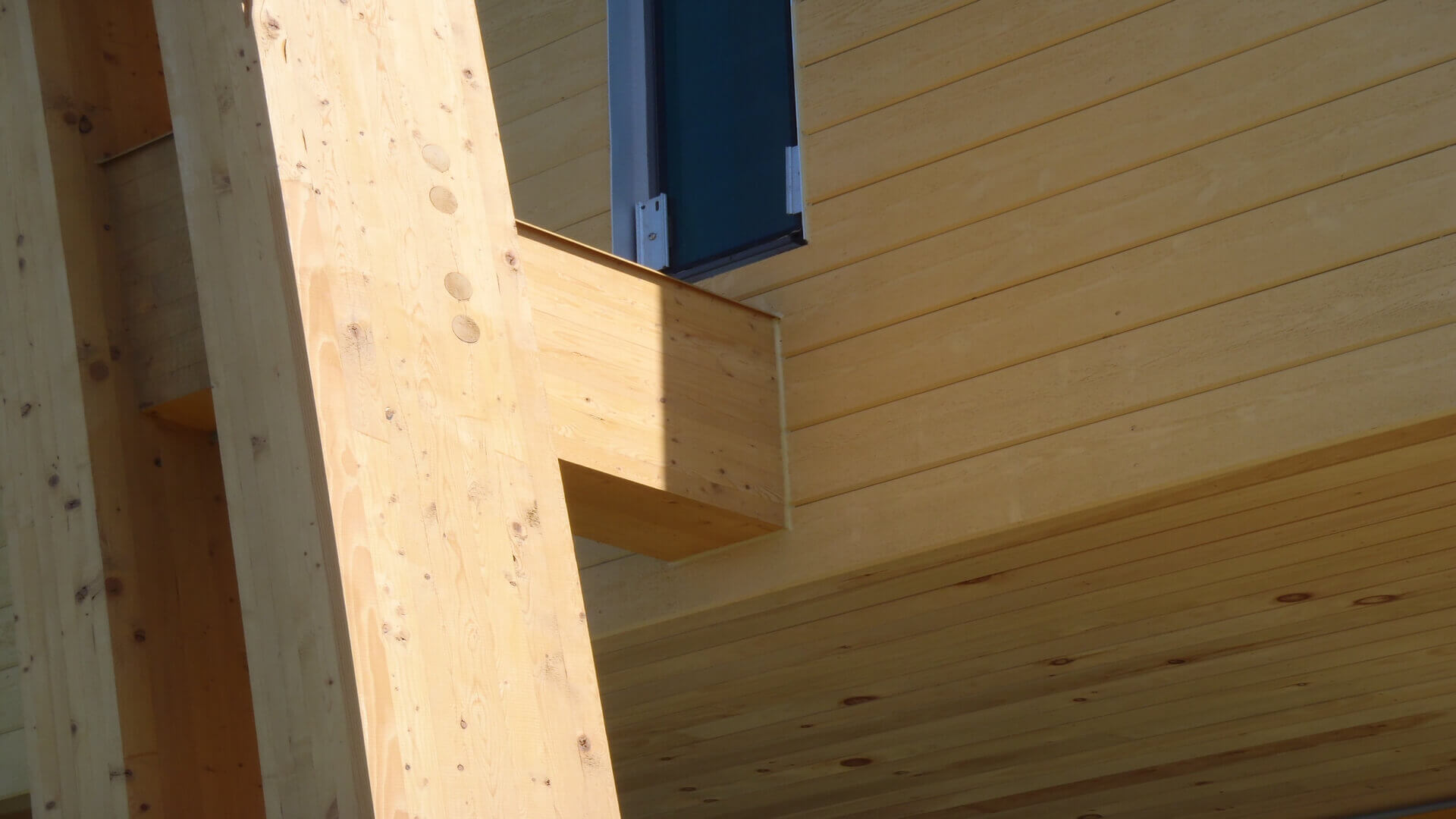 Photo en lien avec le texte