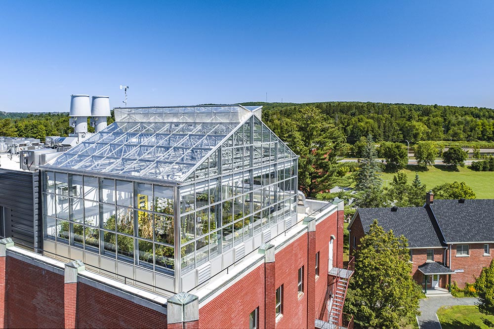 Photo bannière Béland lapointe