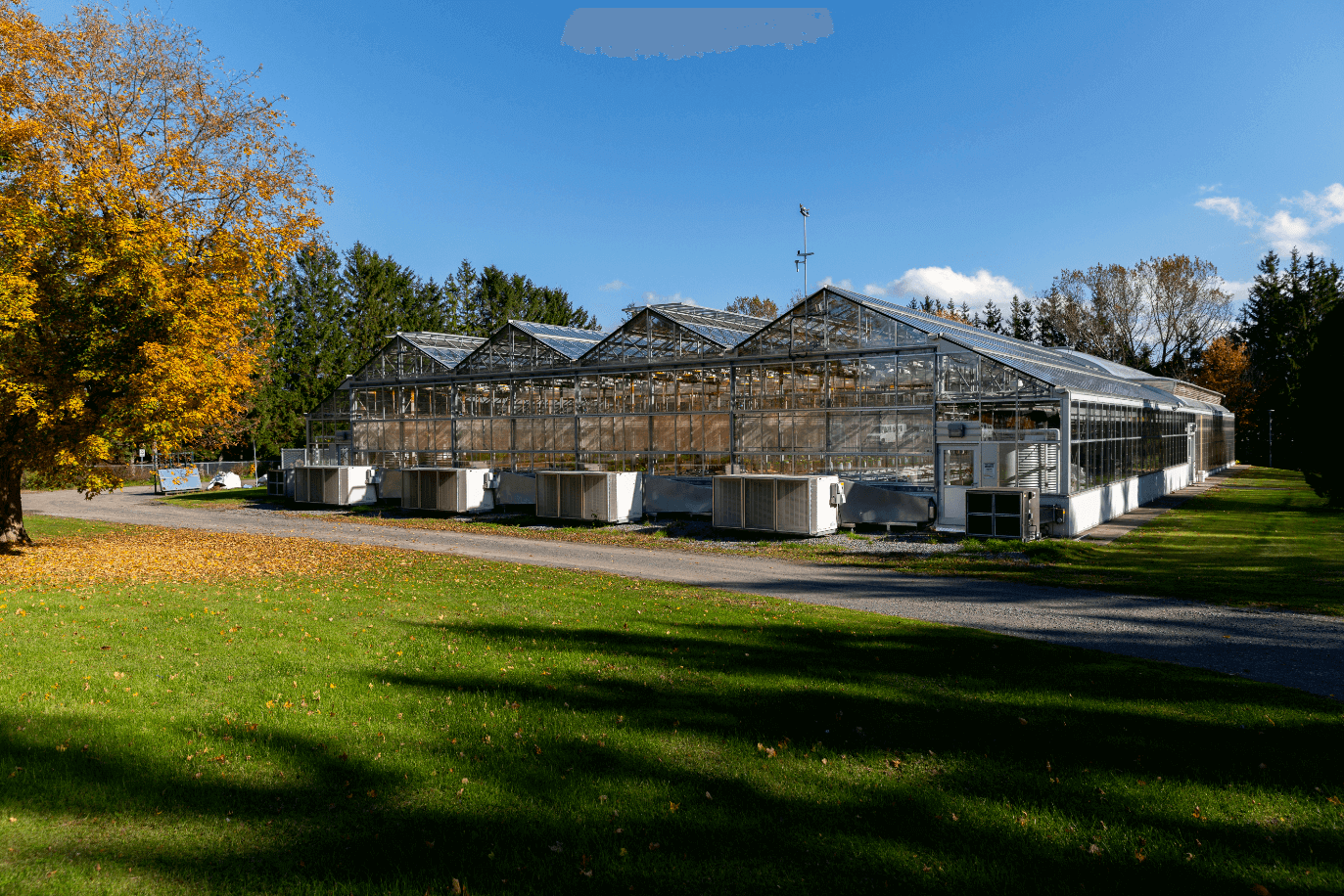 Photo bannière Béland lapointe