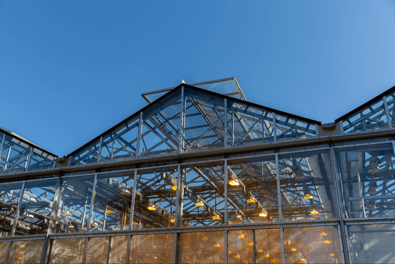 Photo en lien avec le texte