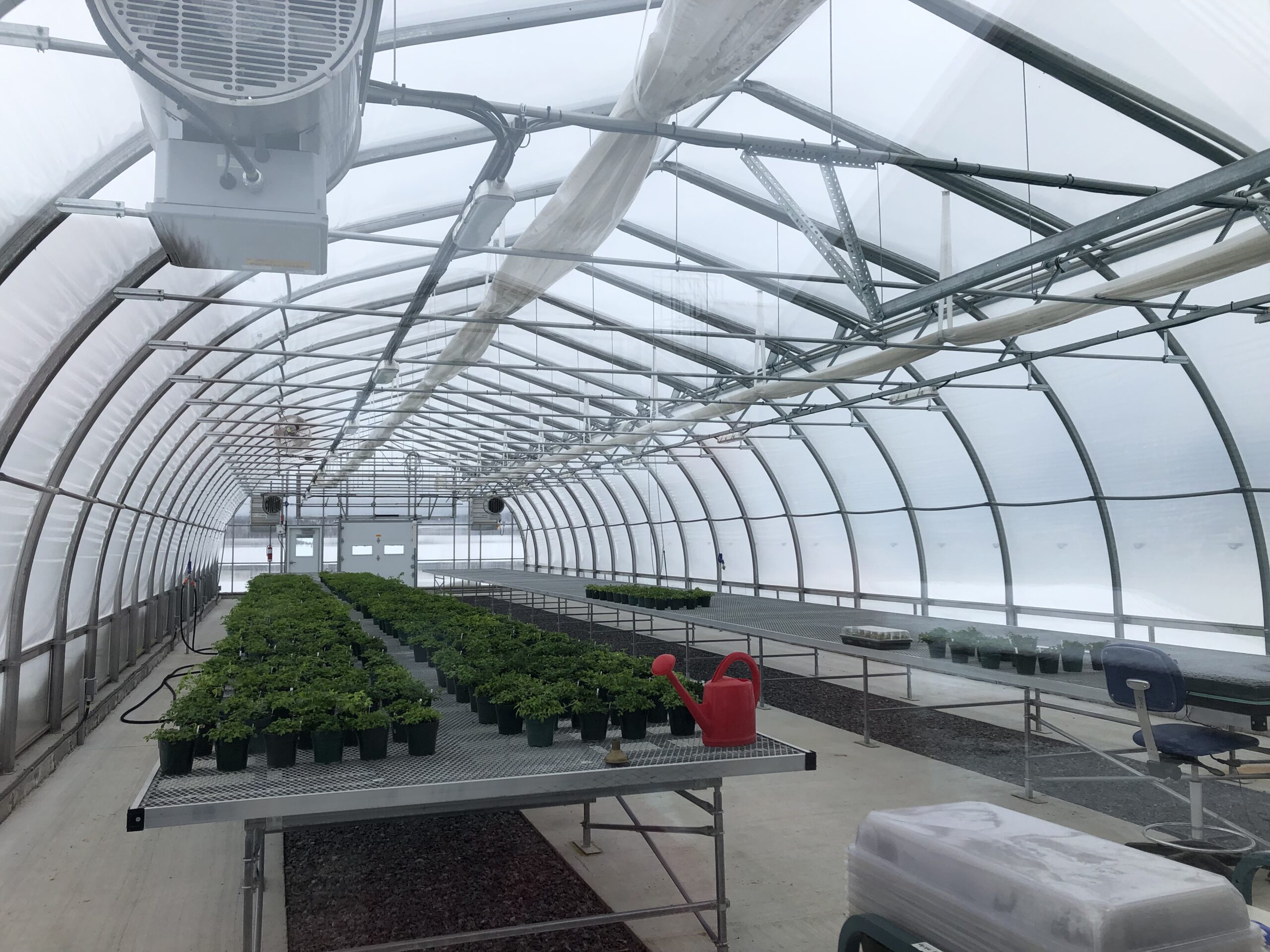 Photo bannière Béland lapointe