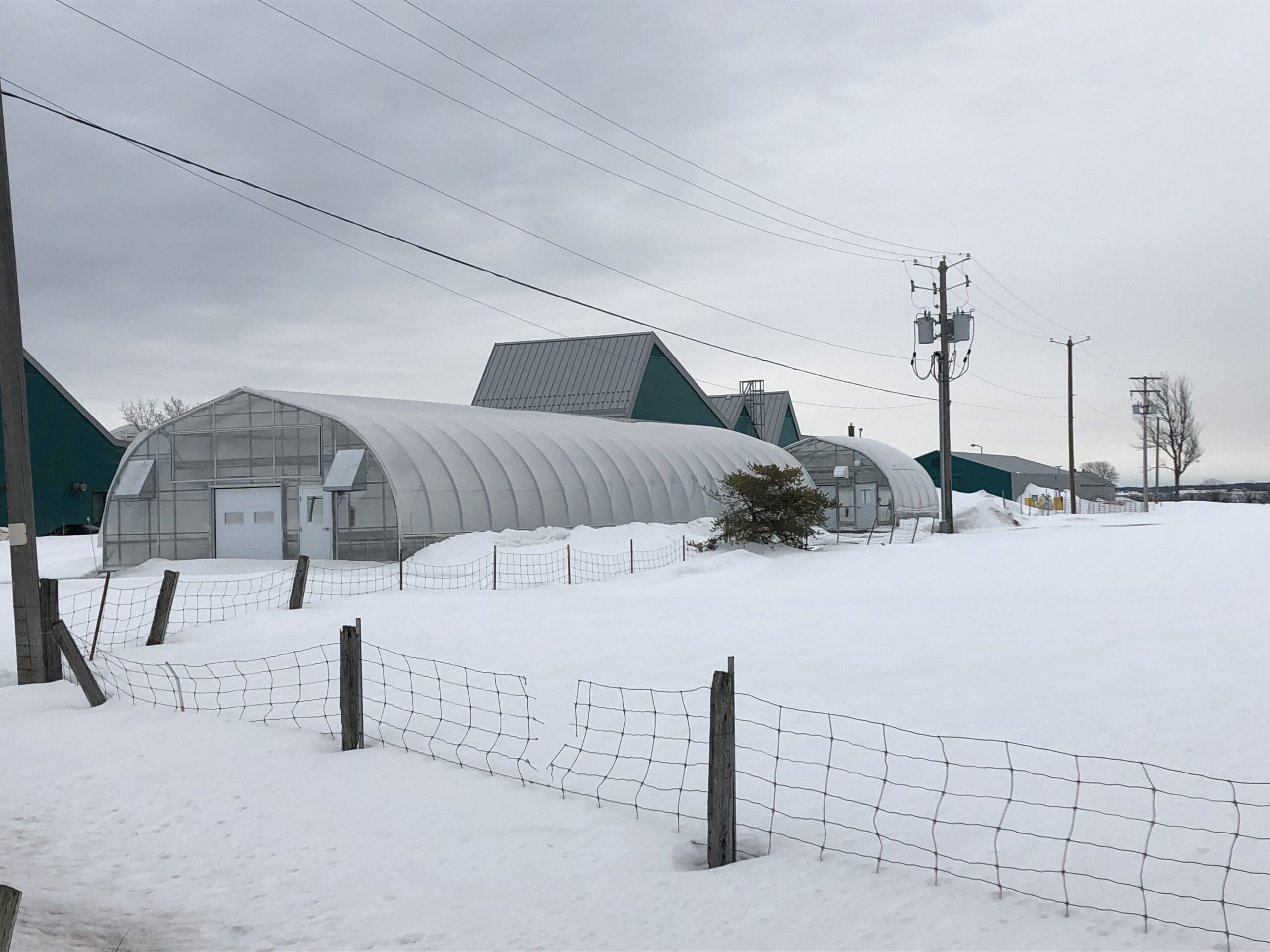 Photo en lien avec le texte