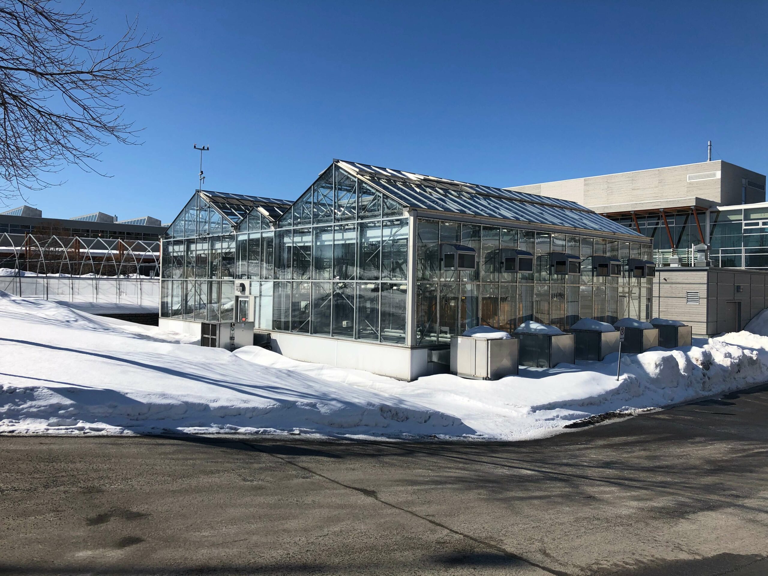 Photo bannière Béland lapointe